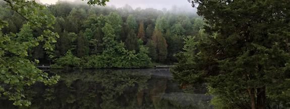 Kinetic Half 2016 Race Report