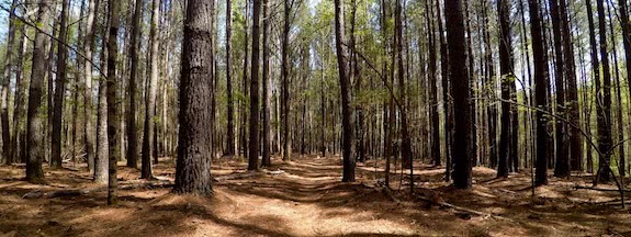 Conquer the Hill at Miller School of Albemarle 2017