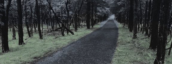 CMS: XTERRA Charlottesville 2019 Non-Race Report