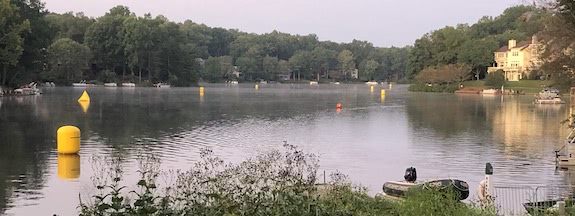 Reston Olympic 2019 Race Report